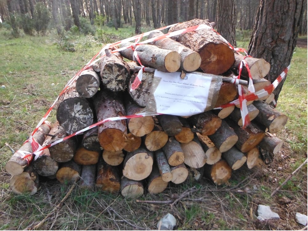 Legna sequestro-2