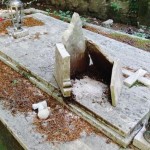 cimiterocastagna