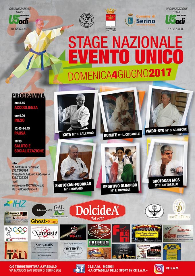 stage karate