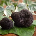 tartufo-nero-di-bagnoli-irpino-1