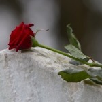 1685riccardo_rasman_pontilenews