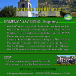 18813999_1411726118917655_8324615583615781240_n