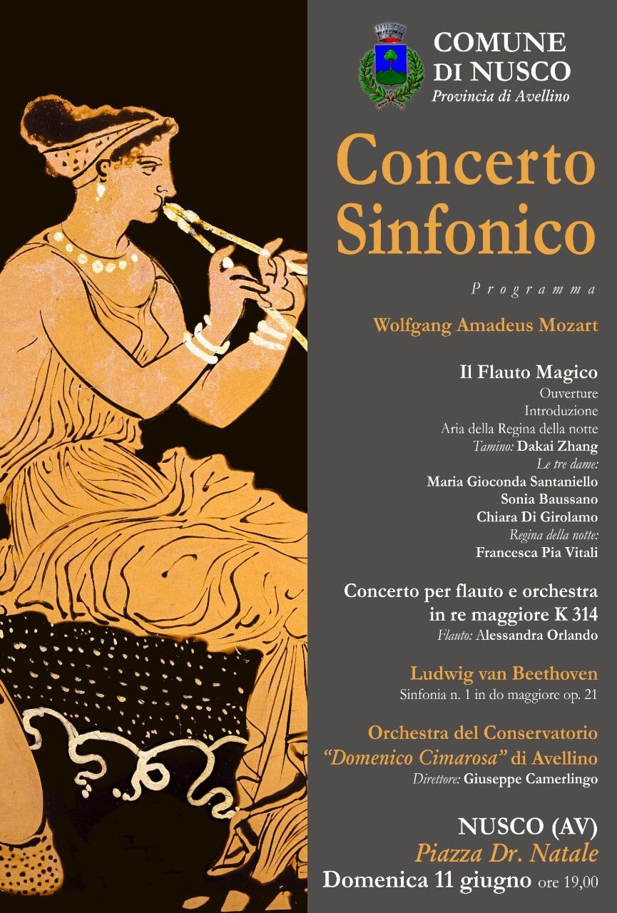 Concerto Sinfonico Nusco 11 giugno 2017 (1)