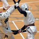 chanbara