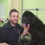 Cane Terranova Team Irpinia Montorese