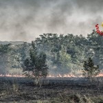 IMG-20170710-WA0011