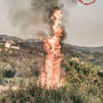 IMG-20170710-WA0012