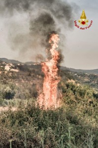 IMG-20170710-WA0012