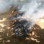 IMG-20170714-WA0029[1]