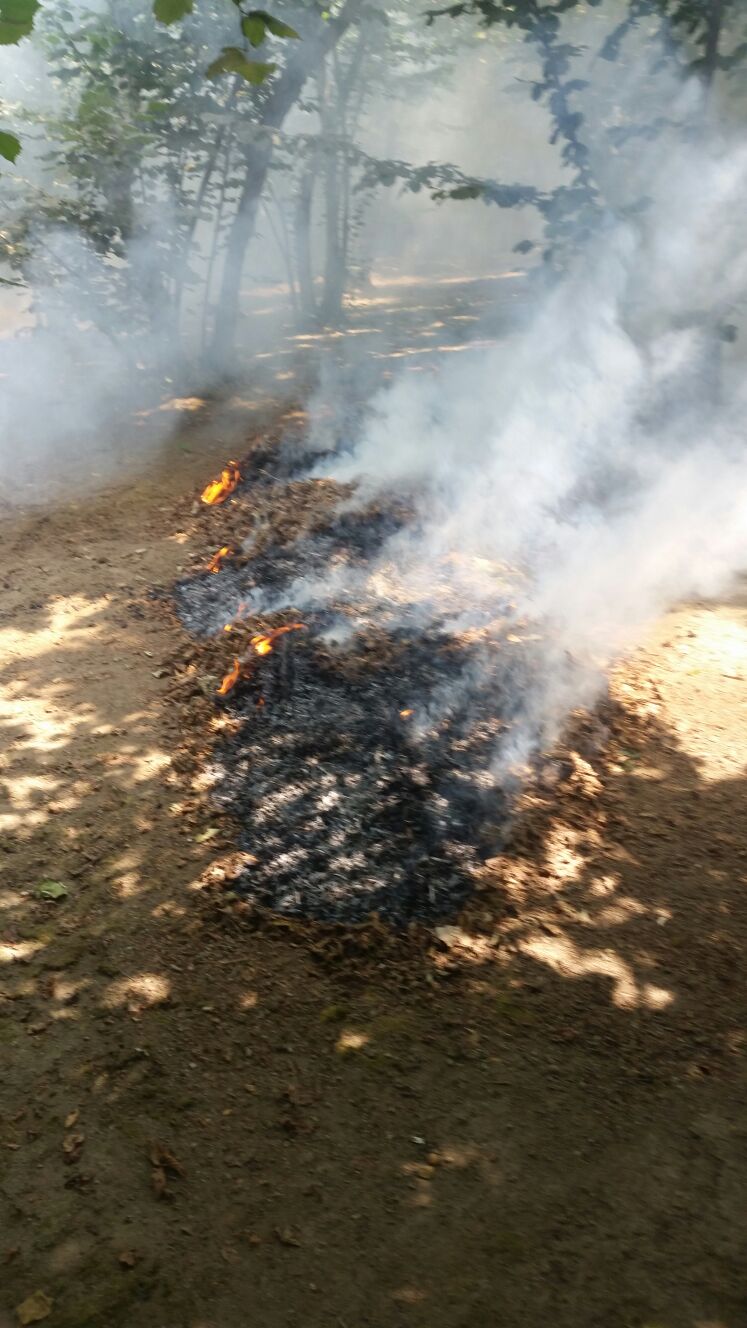 IMG-20170714-WA0029[1]