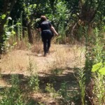 IMG-20170714-WA0035[1]