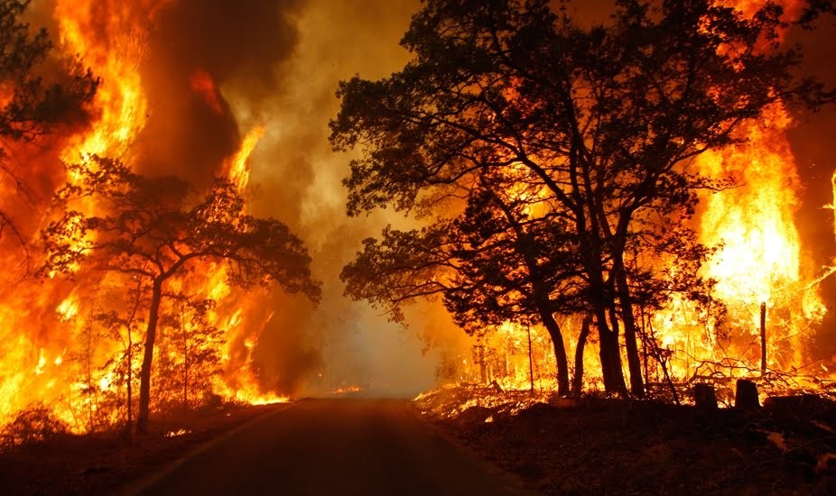 INCENDI-BOSCHIVI