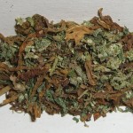Marijuana-Tobacco-Mixture-Sostanze-Stupefacenti