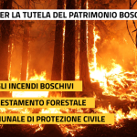 PROPOSTE-TUTELA-PATRIMONIO-BOSCHIVO-Montoro Virtuosa 2