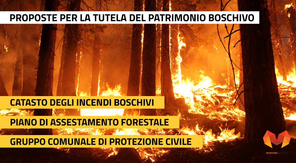 PROPOSTE-TUTELA-PATRIMONIO-BOSCHIVO-Montoro Virtuosa 2