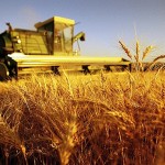 agricoltura