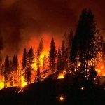 incendio testo