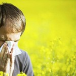 Allergie-le-5-cause-principali-2-800x400-800x400