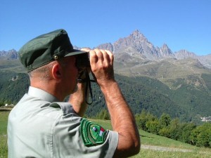 Attività_di_controllo