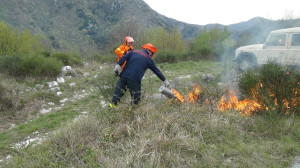 Fuoco prescritto 1