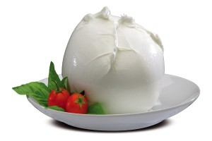 mozzarella
