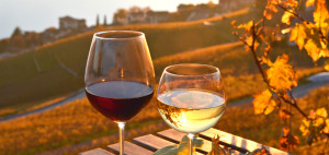 vino