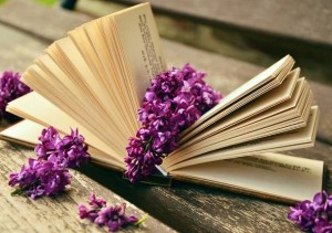 biblioteca-barasso-libro-494930.610x431