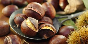 castagne_proprieta_benefici