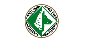 nuovo-logo-Us-Avellino-1912