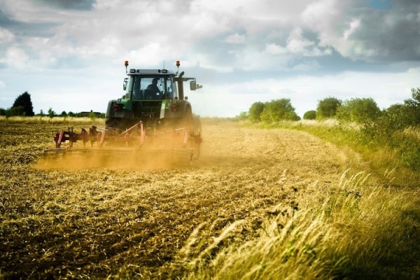 agricoltura-lavoro-agricolo-agricoltore-trattore-macchine-agricole-contoterzismo-agromeccanici-campo-campi-by-antbphotos-fotolia-750x500-e1455012167167