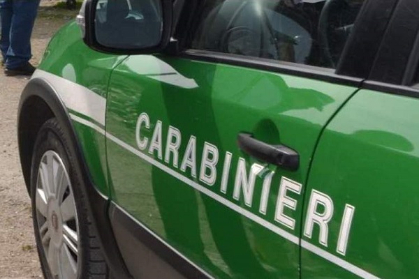 carabinieri ok