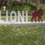crop_LIONI-18