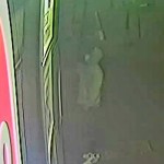 96414261_3044616705631690_4863618466319433728_o (1)