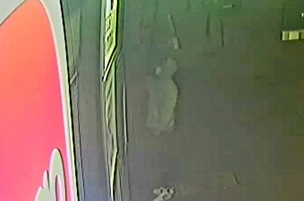96414261_3044616705631690_4863618466319433728_o (1)