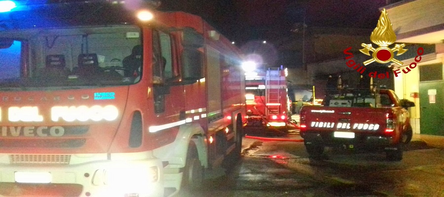 vigili3