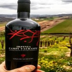 Campi Taurasini vigneto