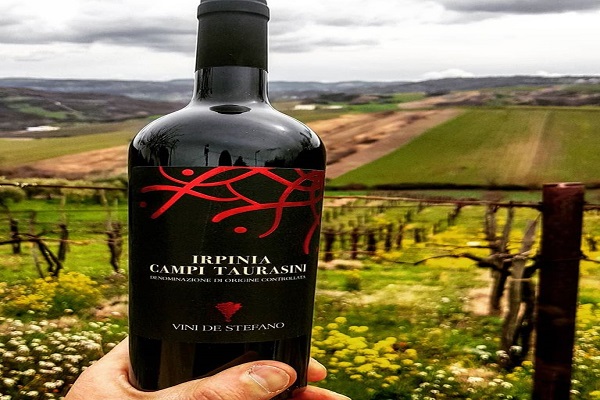 Campi Taurasini vigneto