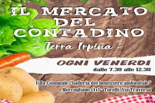 Image MERCATO TORELLI
