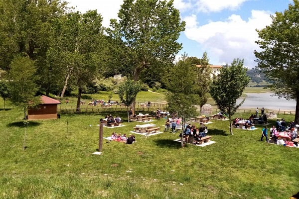 area_pic_nic_laceno