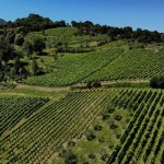 Lapio_wine-trekking_16agosto_Avellino