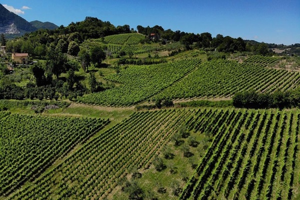 Lapio_wine-trekking_16agosto_Avellino