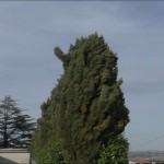 Via dei Cipressi