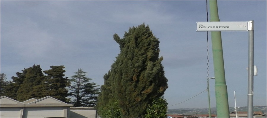 Via dei Cipressi