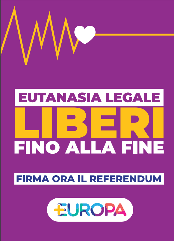 referendum