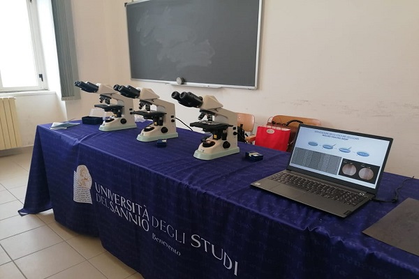 Unisannio
