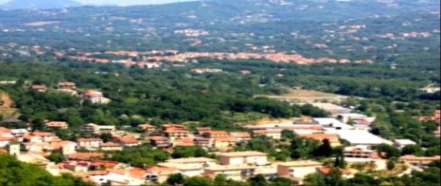 serino-e1606558392175-300x196