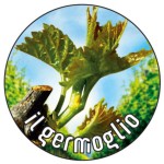 il germoglio