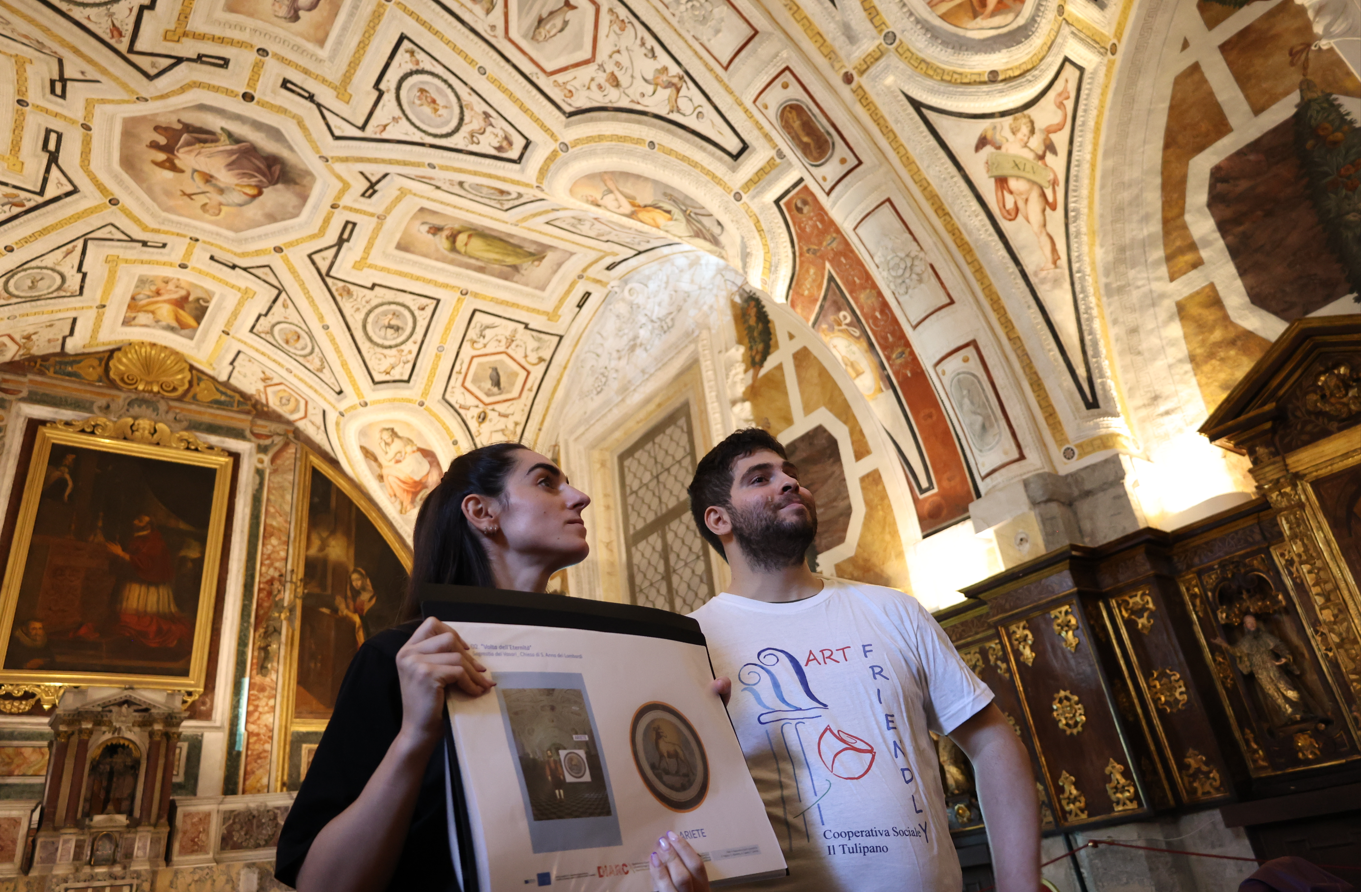 Accoglienza museale Tulipano