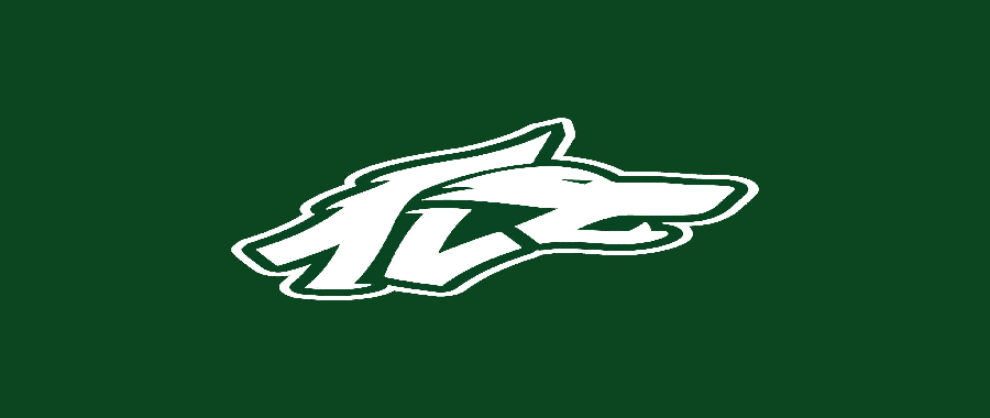 Avellino Basketmod