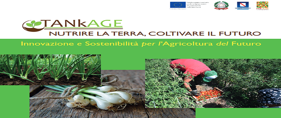 Progetto Tankage
